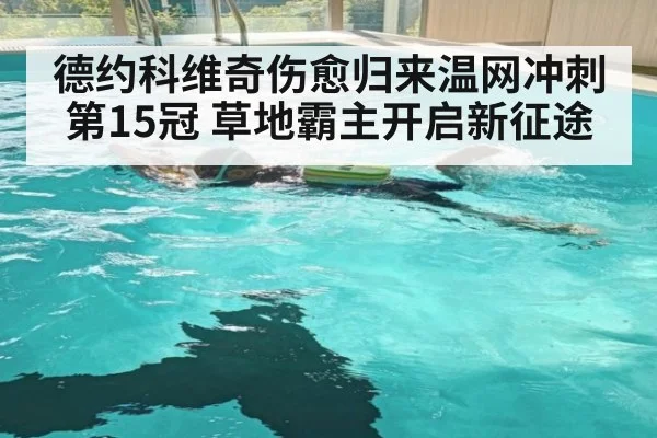 德约科维奇伤愈归来温网冲刺第15冠 草地霸主开启新征途